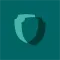 Feature icon